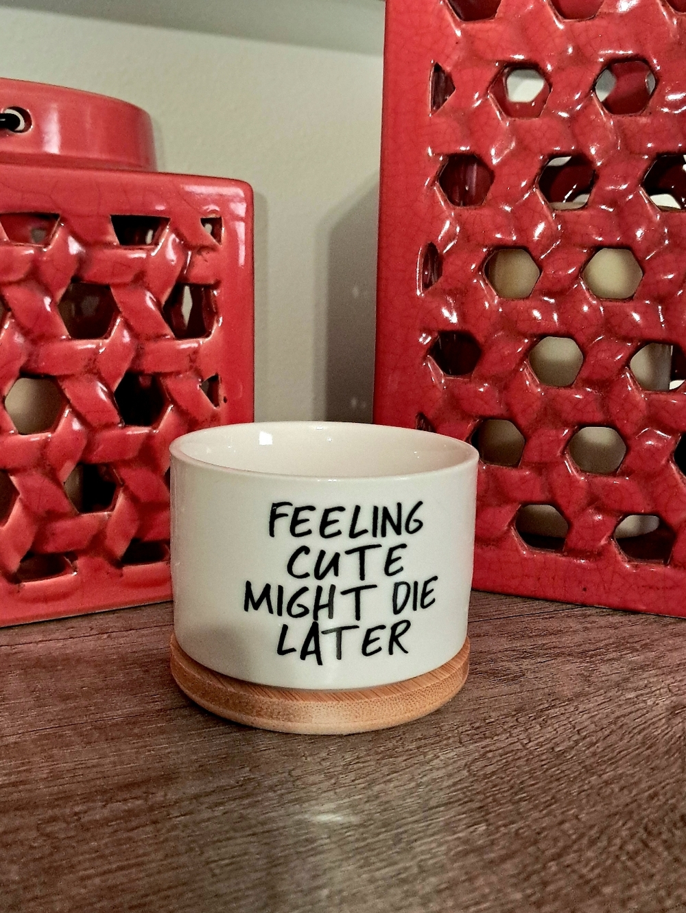 Feeling Cute Might Die Later Ceramic Planter with Bamboo Tray